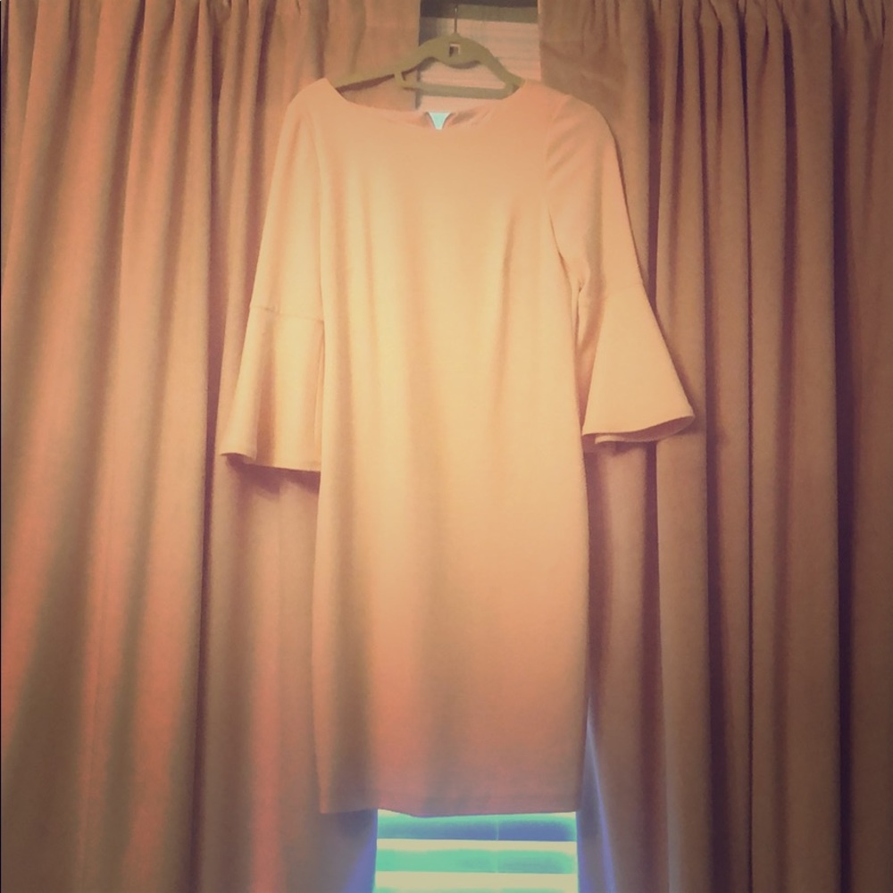 Pink Clavin Klein Dress